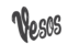 Logo del festival VESOS
